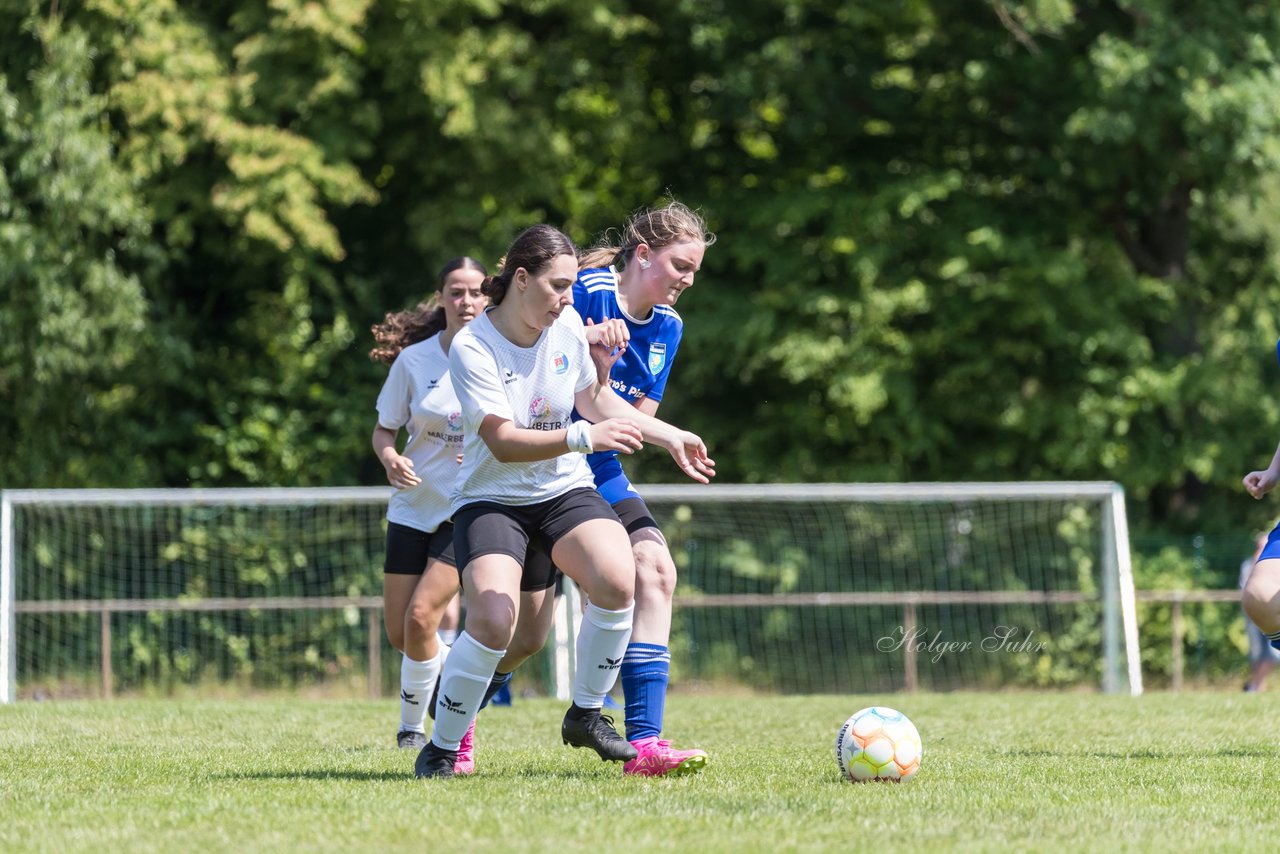 Bild 66 - wBJ VfL Pinneberg - Harksheide : Ergebnis: 2:1